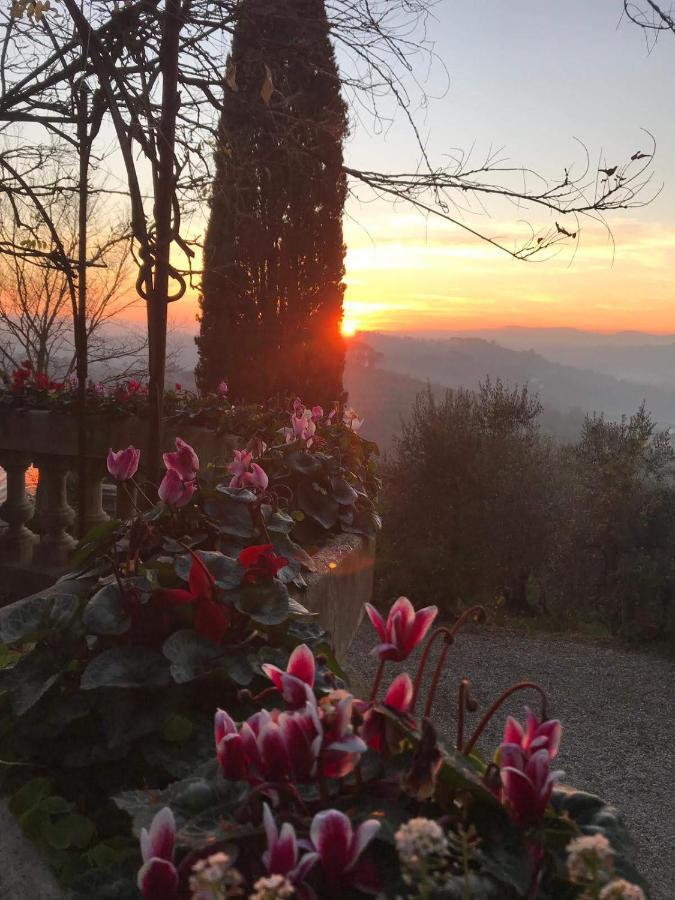Villa La Piccioncina Firenze Экстерьер фото